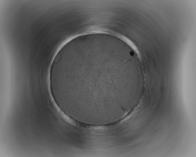 X0000114491431200910191222