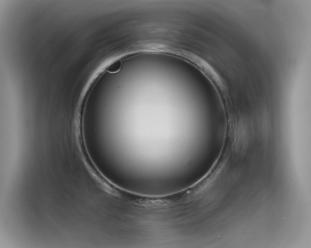 X0000114491432200910191222