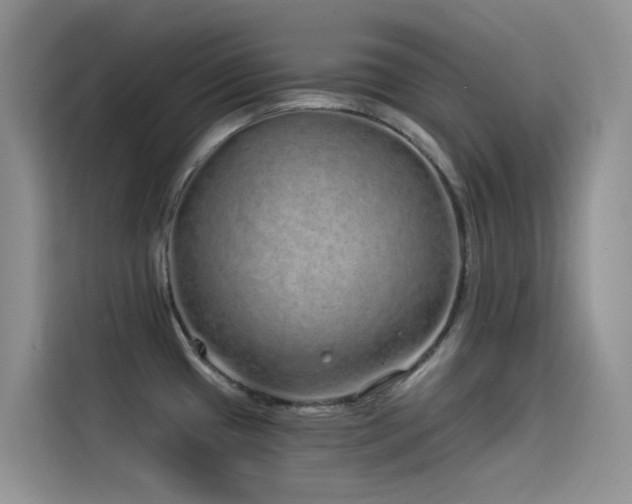 X0000114491433200910191222