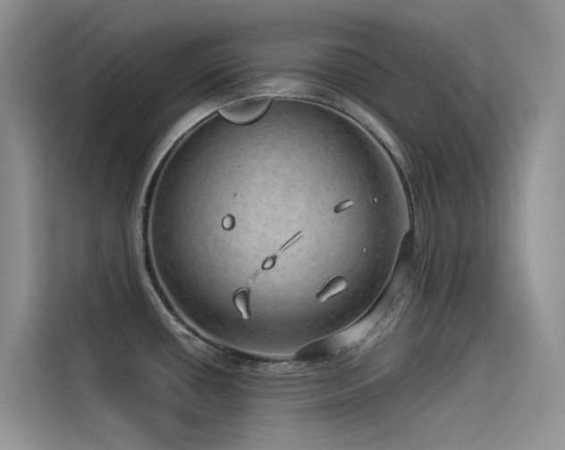 X0000114491434200910191222