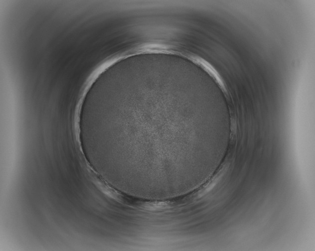 X0000114491435200910191222