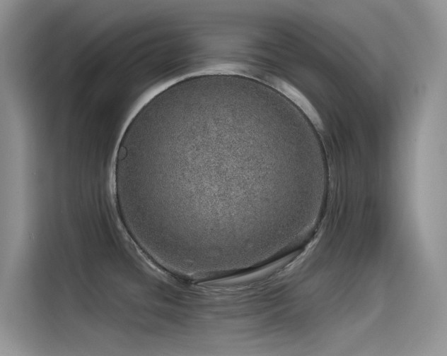 X0000114491436200910191222
