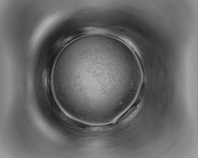 X0000114491438200910191222