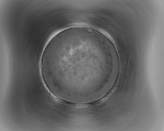 X0000114491440200910191222