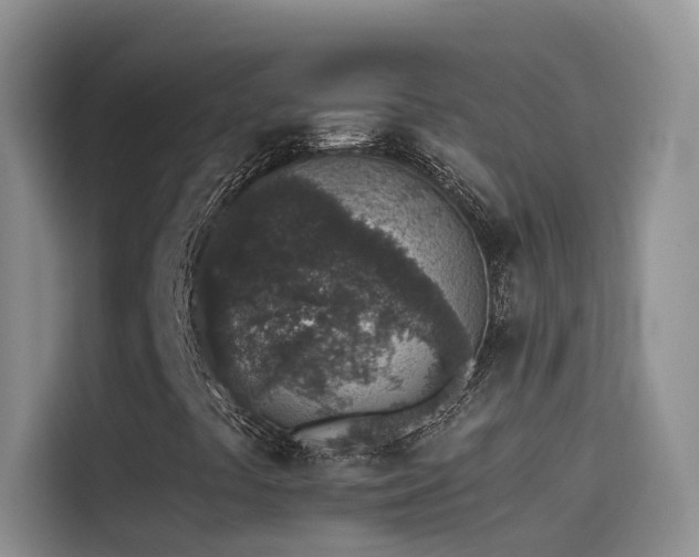 X0000114491441200910191221