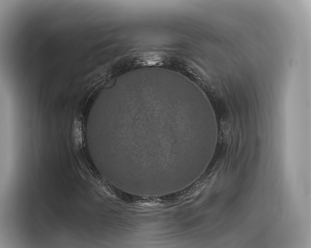 X0000114491442200910191221