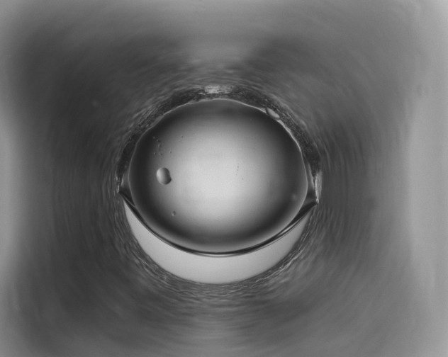 X0000114491443200910191221