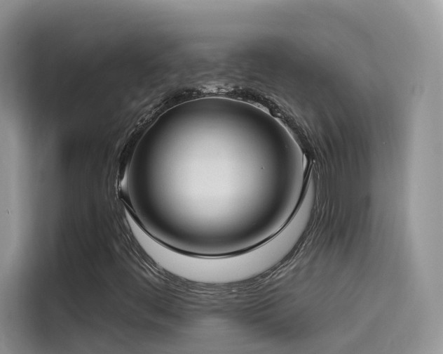 X0000114491444200910191221