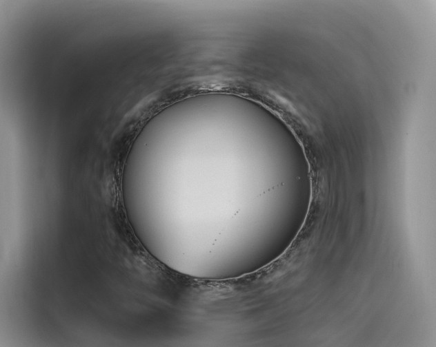 X0000114491446200910191221