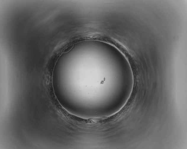 X0000114491447200910191221