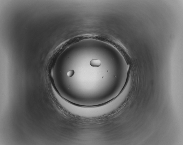 X0000114491448200910191221