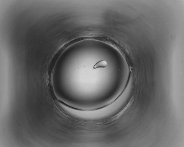 X0000114491449200910191221