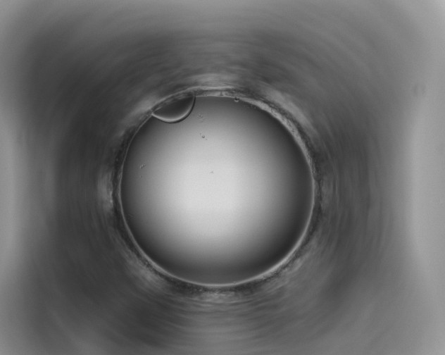 X0000114491451200910191221