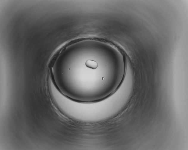 X0000114491452200910191221