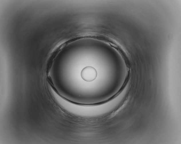 X0000114491453200910191221