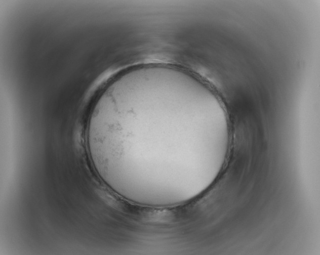 X0000114491454200910191221