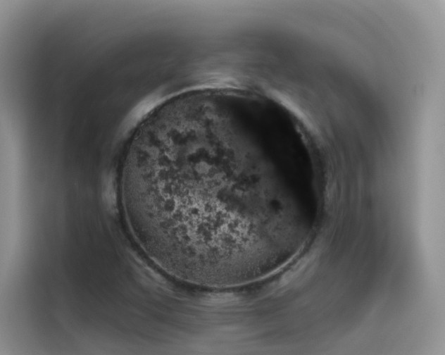 X0000114491455200910191221