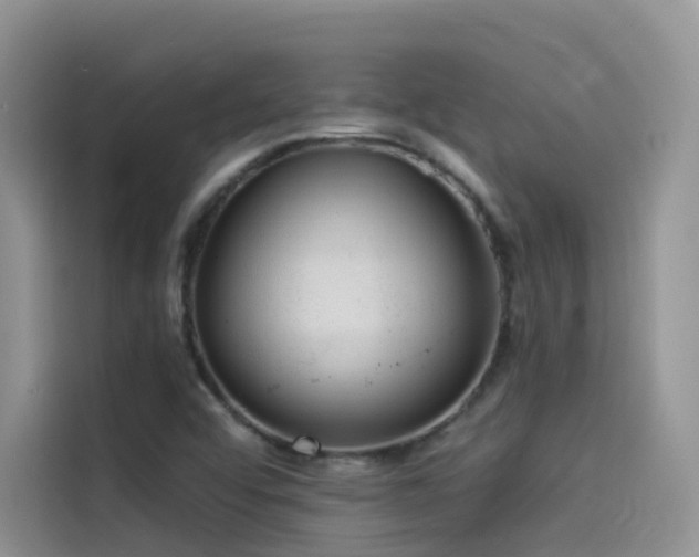 X0000114491456200910191221