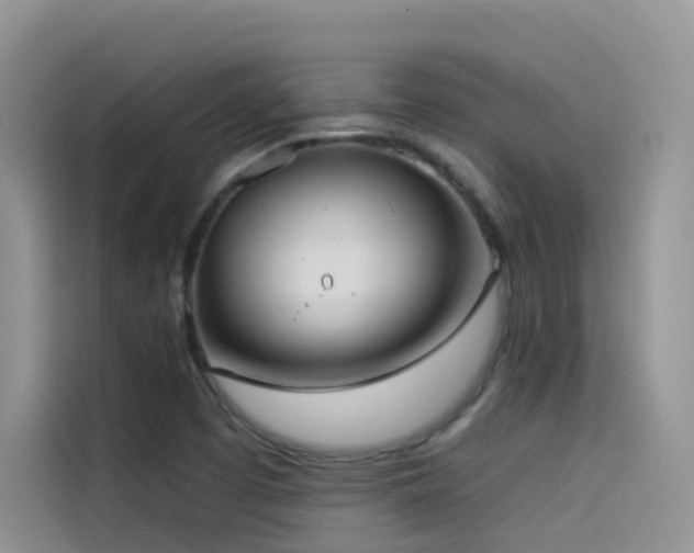 X0000114491457200910191221