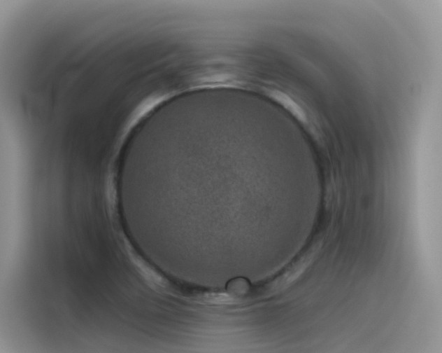 X0000114491458200910191221
