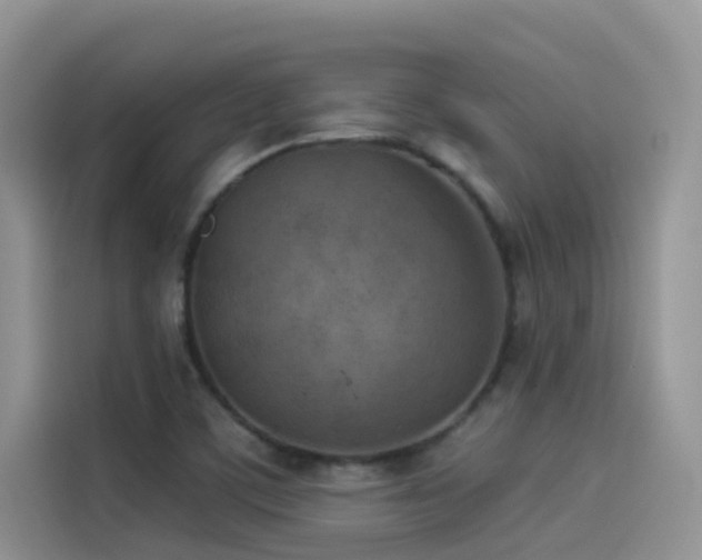 X0000114491459200910191221