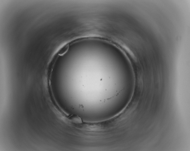 X0000114491460200910191221