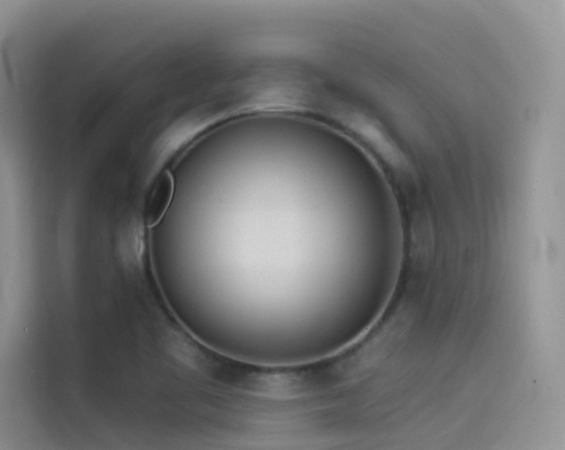 X0000114491461200910191221
