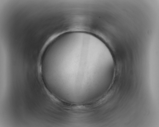 X0000114491462200910191221