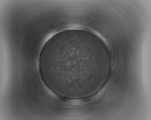 X0000114491463200910191221