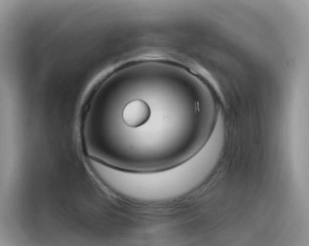 X0000114491464200910191221