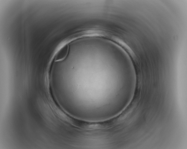 X0000114491467200910191221