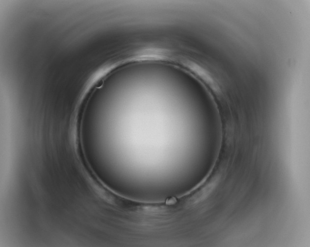 X0000114491469200910191221