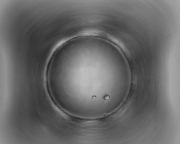 X0000114491471200910191221