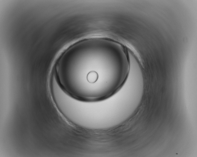 X0000114491472200910191221
