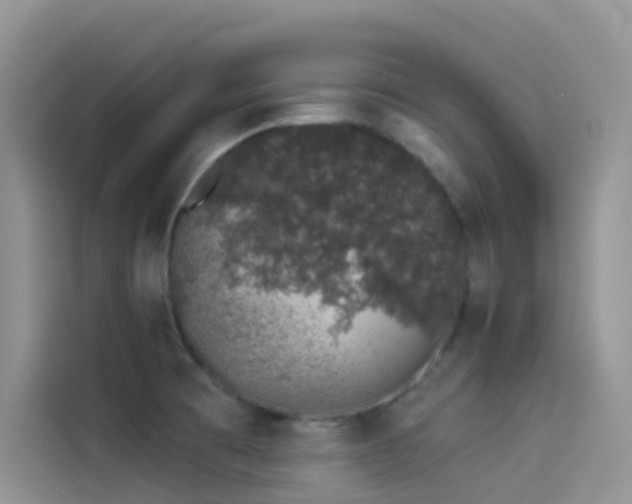 X0000114491473200910191221