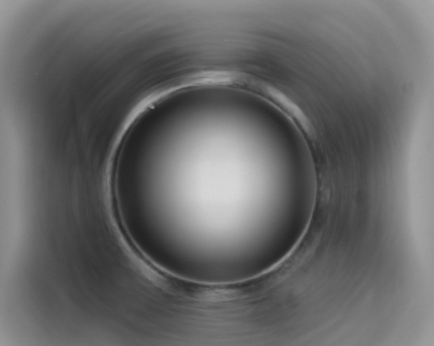 X0000114491475200910191221