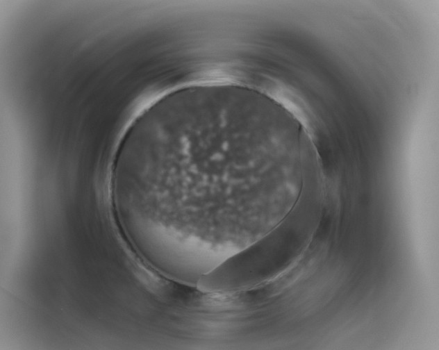 X0000114491477200910191221