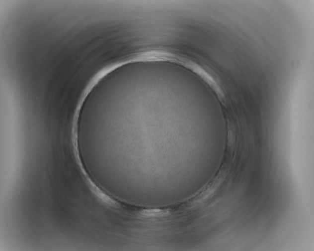 X0000114491478200910191221
