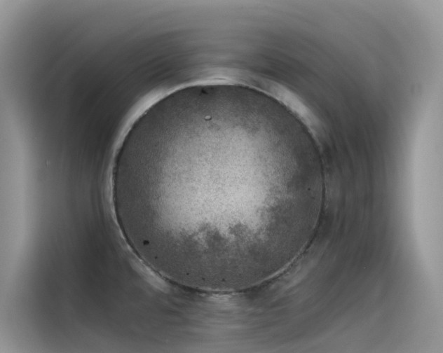 X0000114491480200910191221