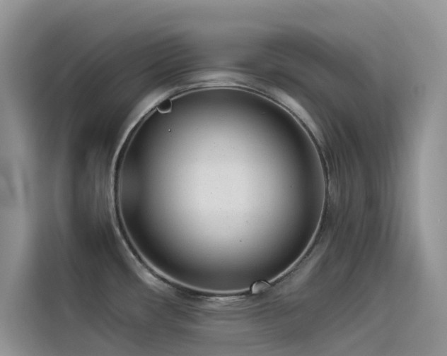 X0000114491482200910191221