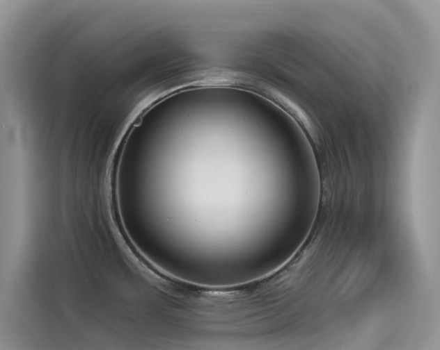 X0000114491483200910191221