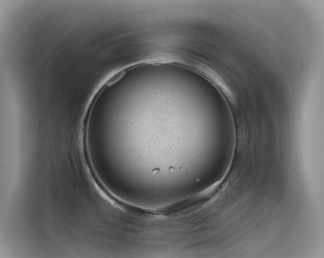 X0000114491484200910191221