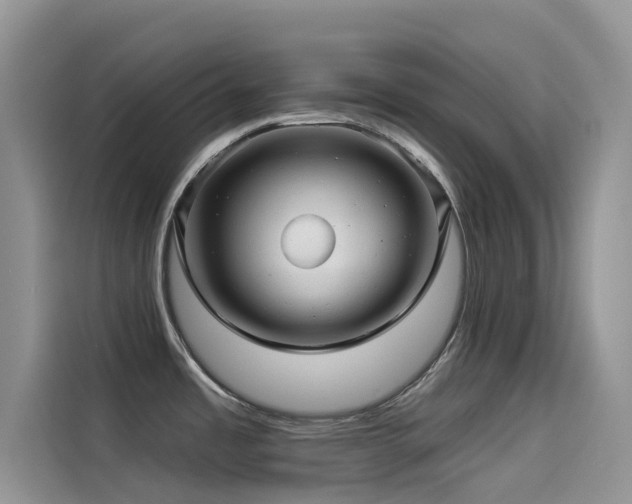 X0000114491485200910191221