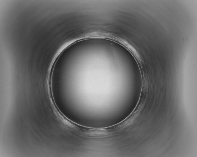 X0000114491486200910191221