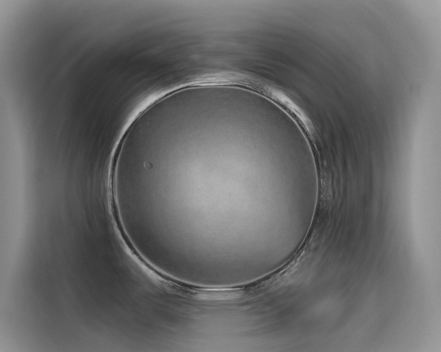 X0000114491487200910191221