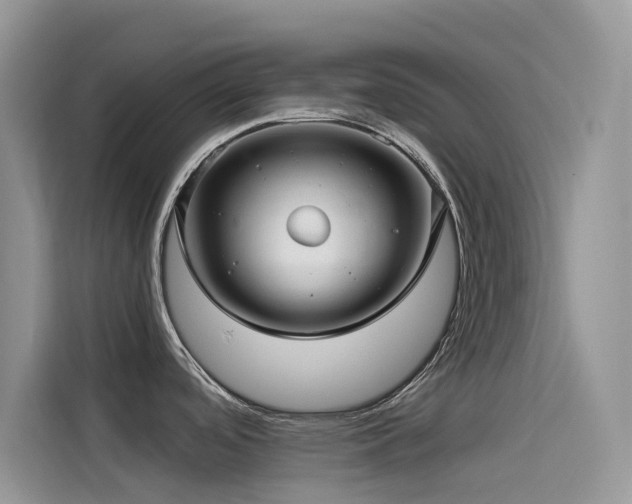 X0000114491488200910191221