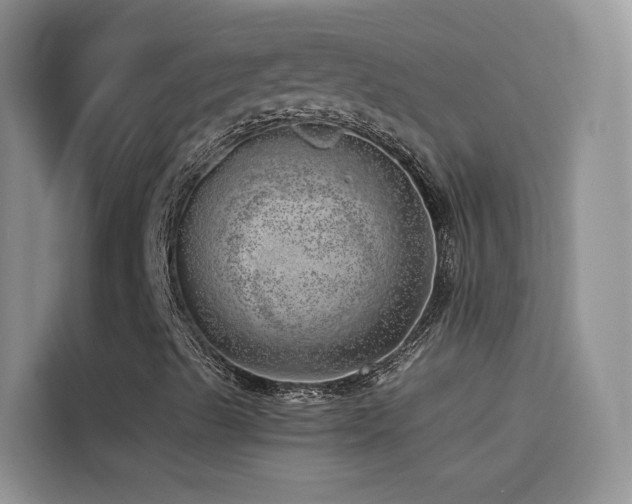 X0000114491489200910191220