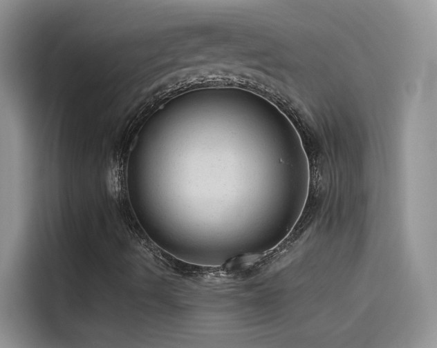 X0000114491490200910191220