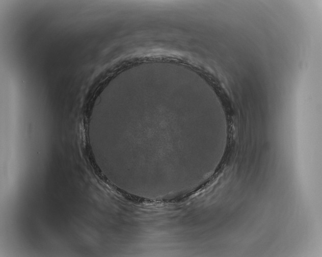 X0000114491493200910191220