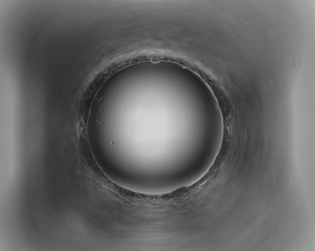 X0000114491495200910191220